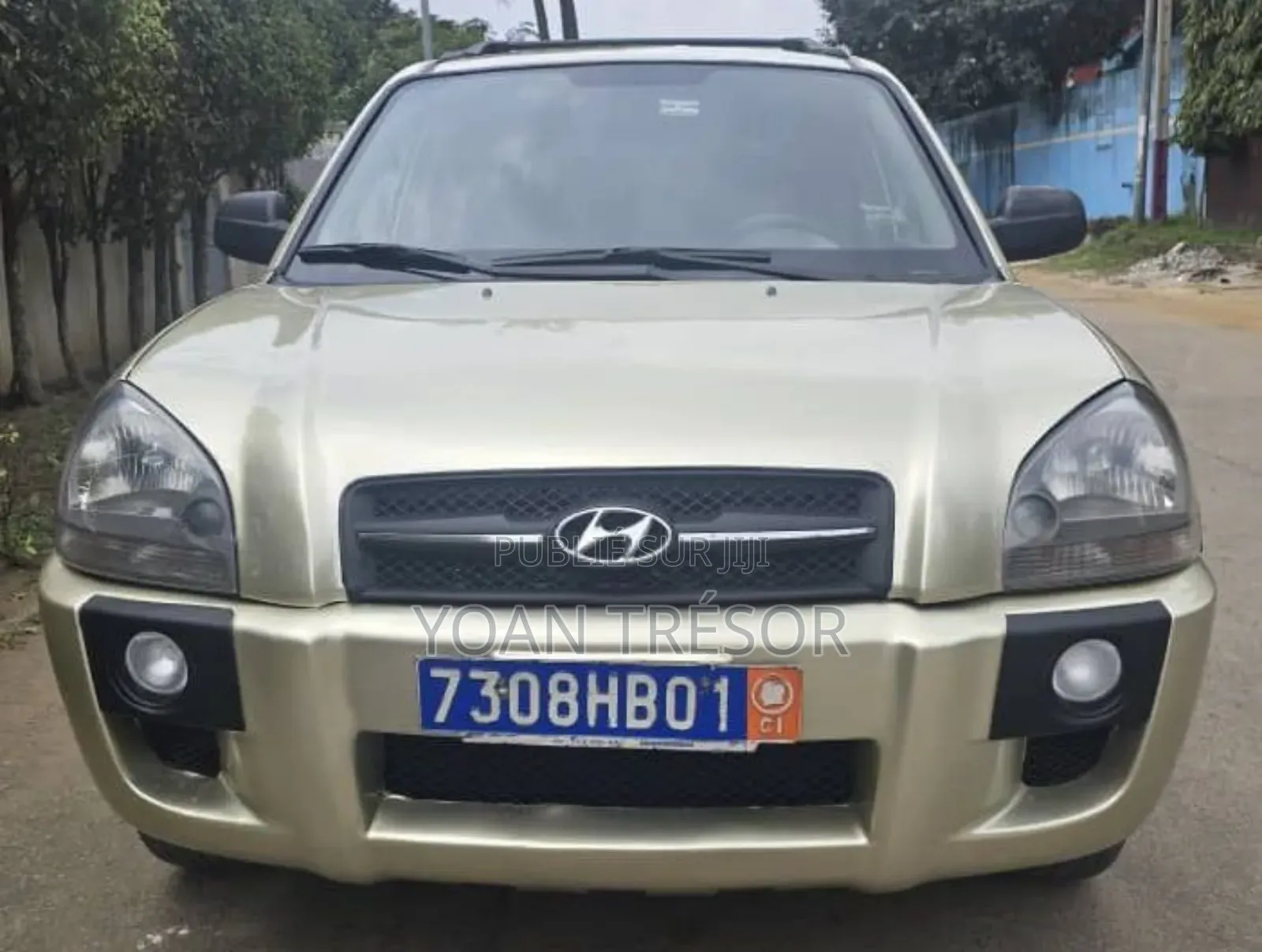 Hyundai Tucson 2007 Beige
