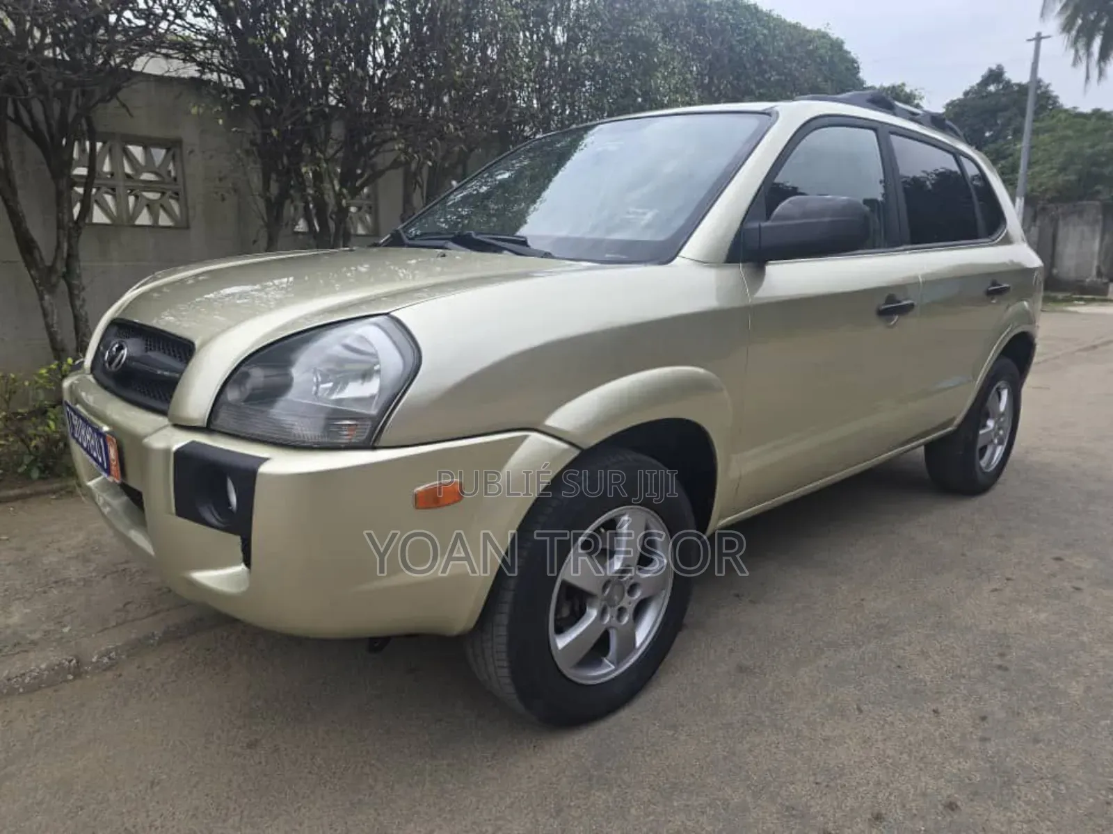 Hyundai Tucson 2007 Beige