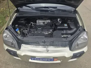 Hyundai Tucson 2007 Beige