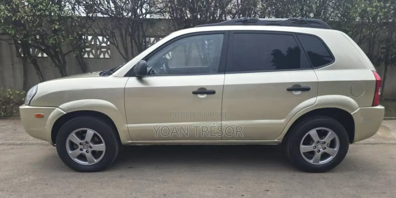 Hyundai Tucson 2007 Beige