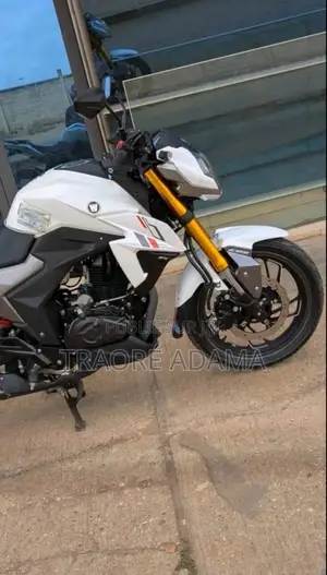 Photo - New Haojue DR190S 2019