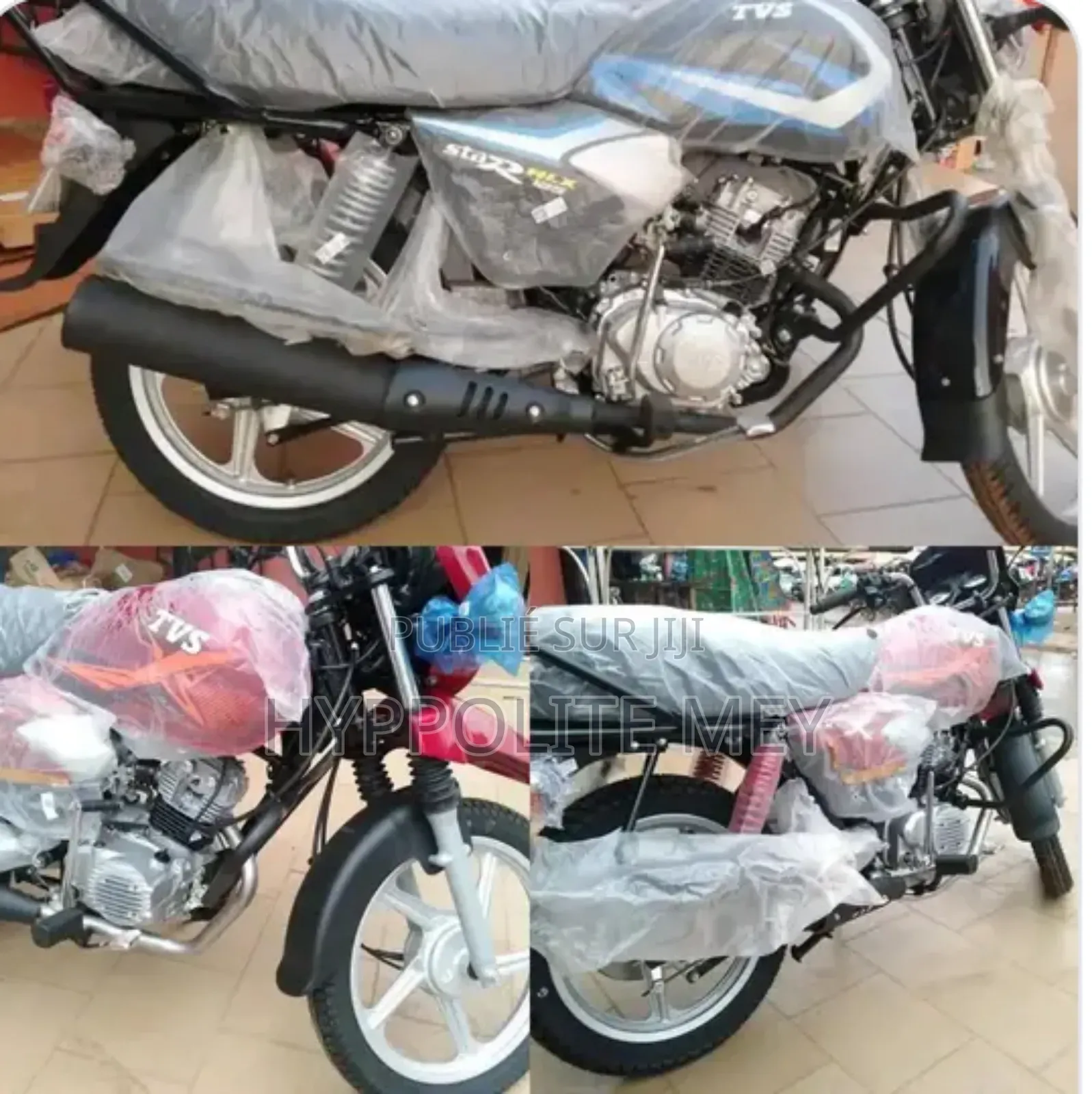 TVS HLX 125 2023 Doré