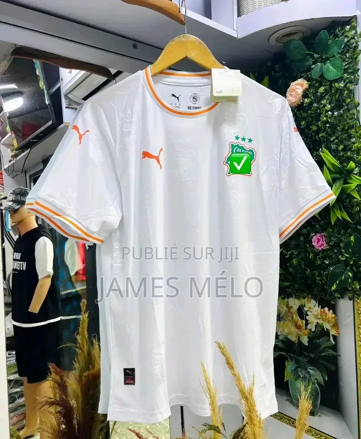 Vente en Ligne Détaillé