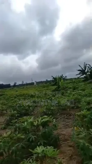 Photo - Terrain 250m2 Avec Acd