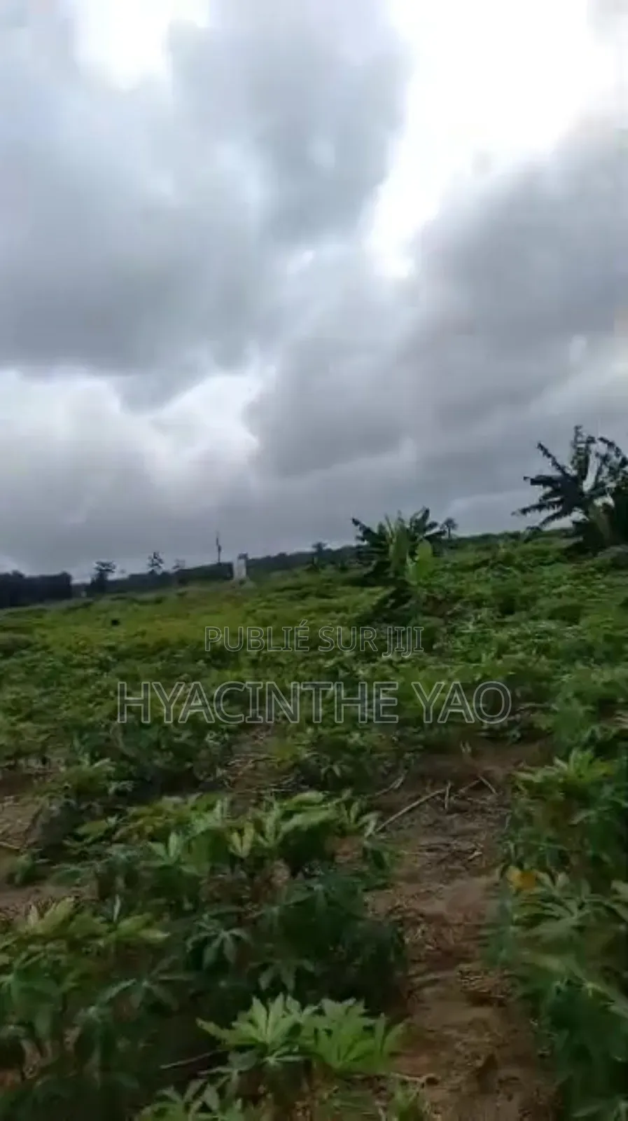 Terrain 250m2 Avec Acd