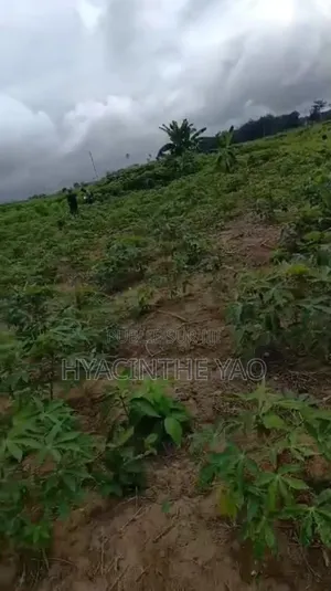 Terrain 250m2 Avec Acd