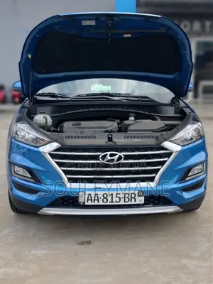 Hyundai Tucson 2021 Blue