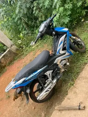 Photo - New Haojue HJ110-5 2017