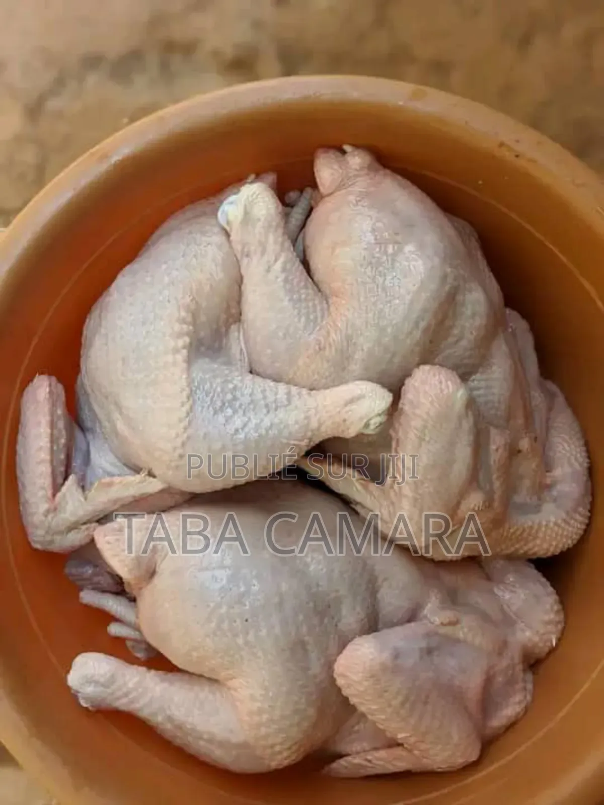 Poulet Africain Local Amélioré