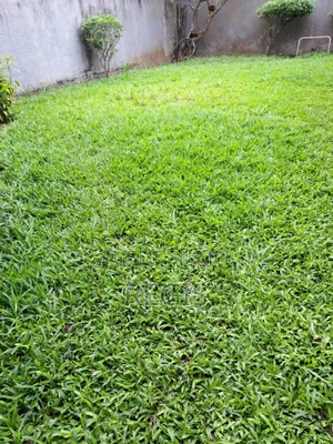 3chbre Villa dans Villa, Cocody à Louer