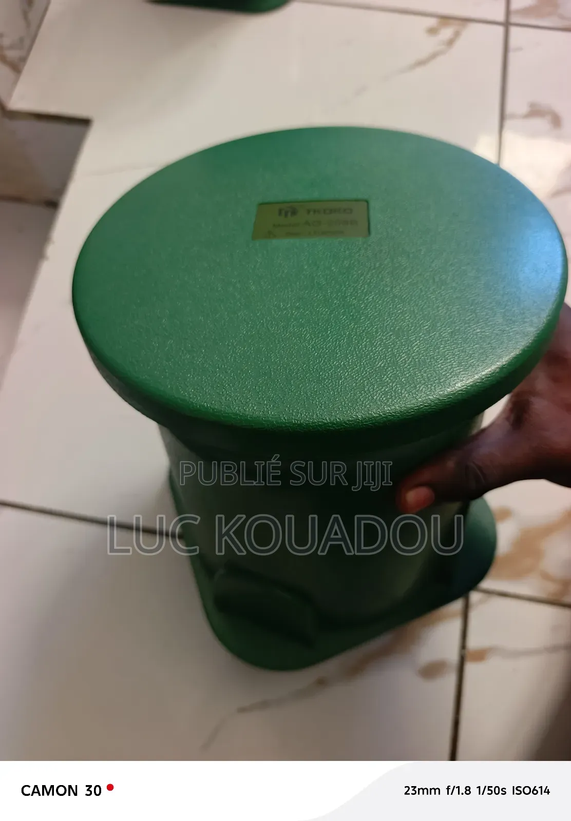 Haut Parleur De Jardin Professionnel