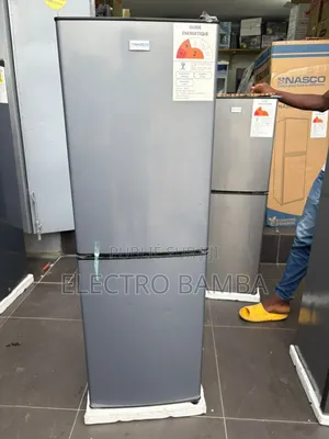 Réfrigérateur Deux Battent Smart