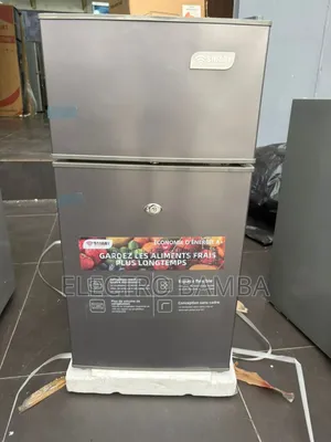 Réfrigérateur Deux Battent Smart