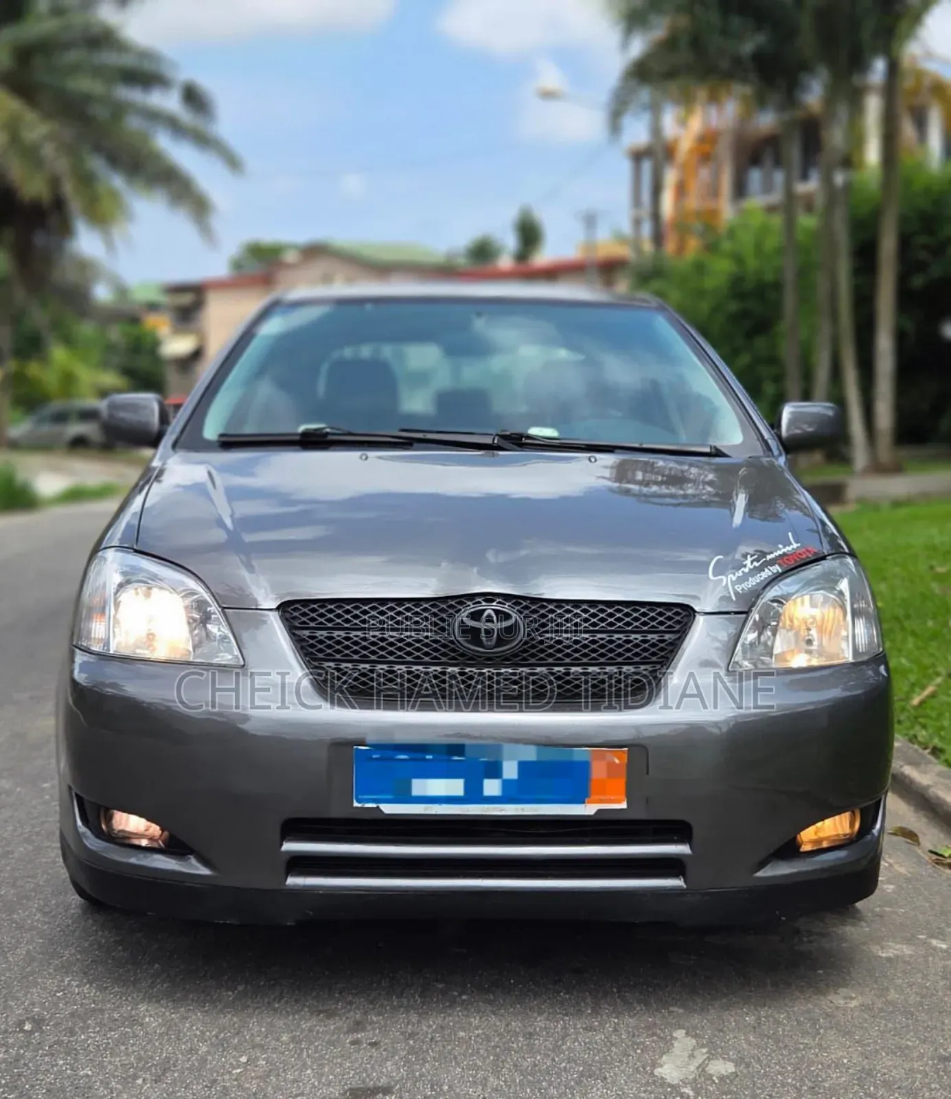 Toyota Corolla 2005 Gris