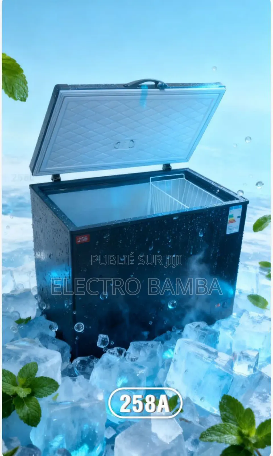 Pomo Promo Congélateur Coucher 258l