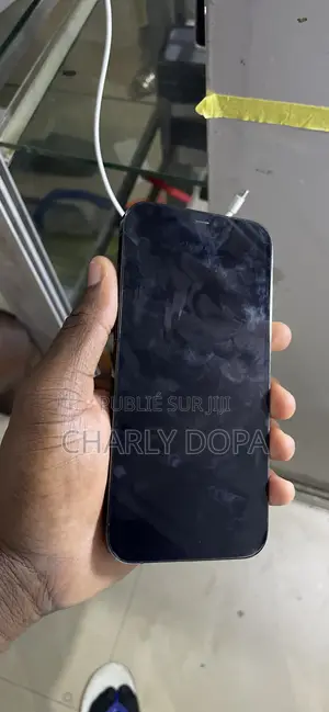 Apple iPhone 12 Pro Max 128 GB Black