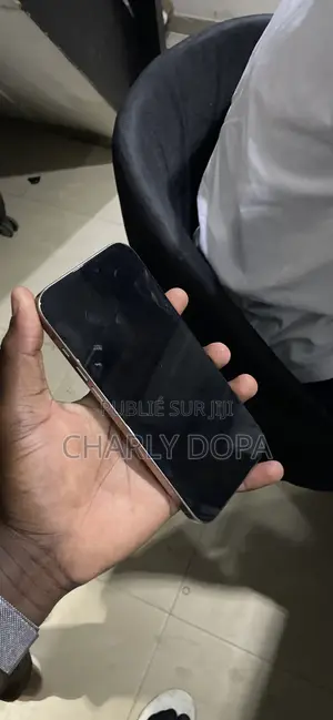 Apple iPhone 16 Pro Max 256 GB Doré