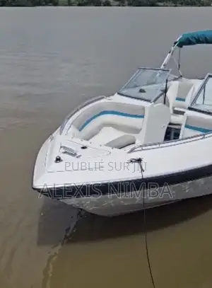 Bateau Vipvip Ouvert Devant Moteur 250cv Yamaha