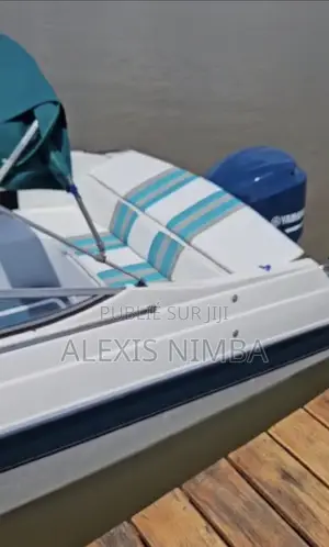 Bateau Vipvip Ouvert Devant Moteur 250cv Yamaha