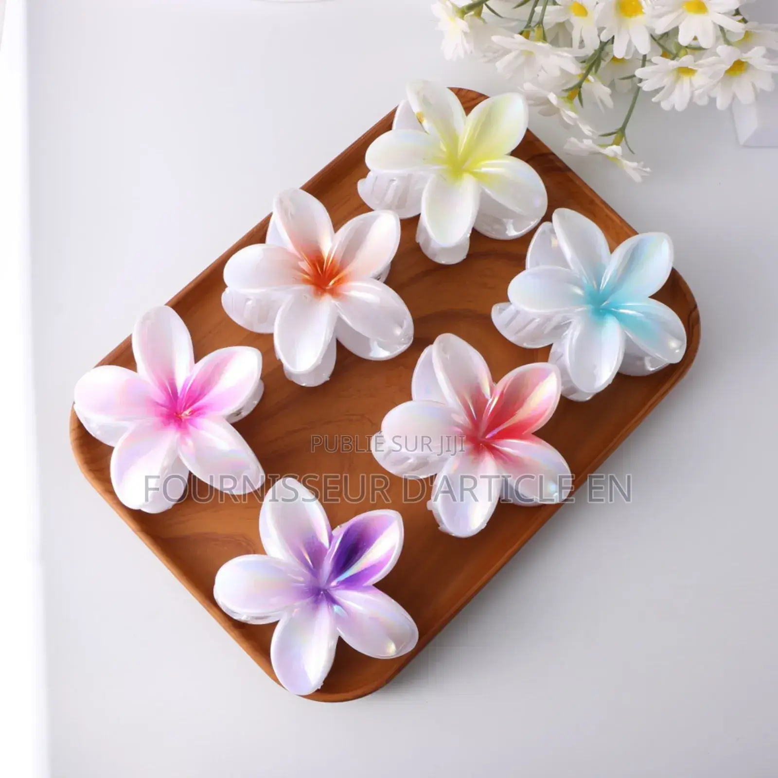 Pince À Cheveux, ( en Gros À Partir De 150 Articles)