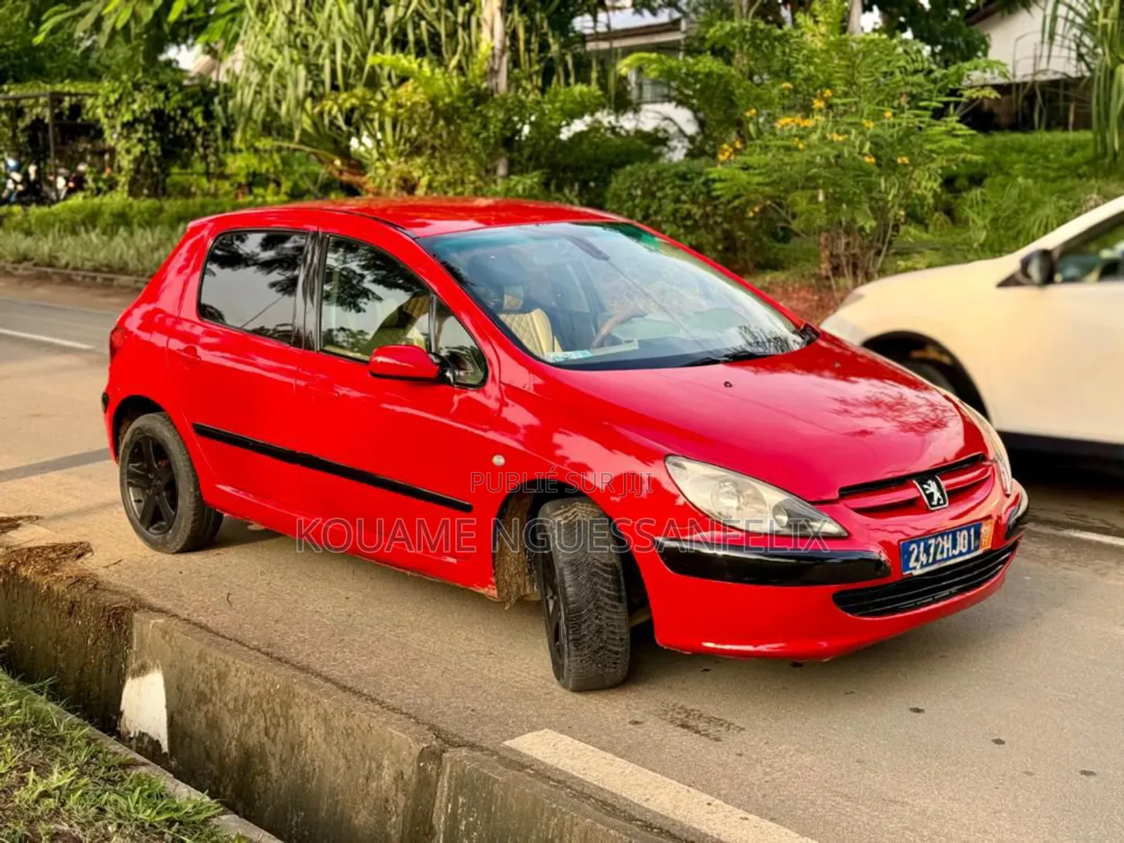Peugeot 307 2004 Rouge