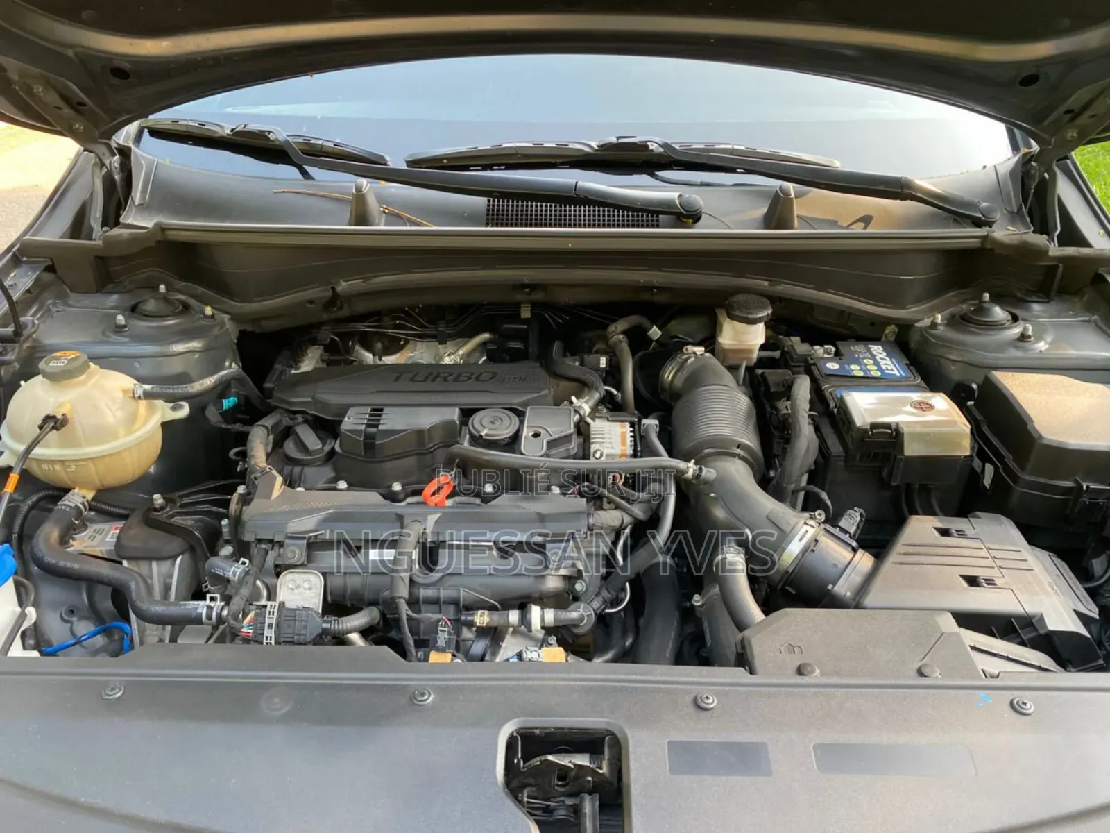 Kia Sportage 2022 Vert