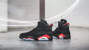 Air Jordan 6