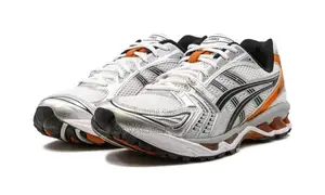 Asics Kayano 14
