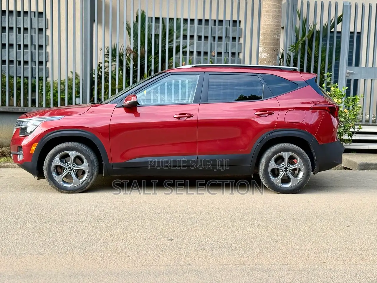 Kia Seltos 2022 Bordeaux