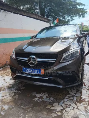 Photo - Mercedes-Benz GLE-Class 2017 Marron