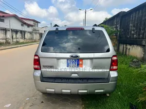 Ford Escape Hybrid 2011 Gris