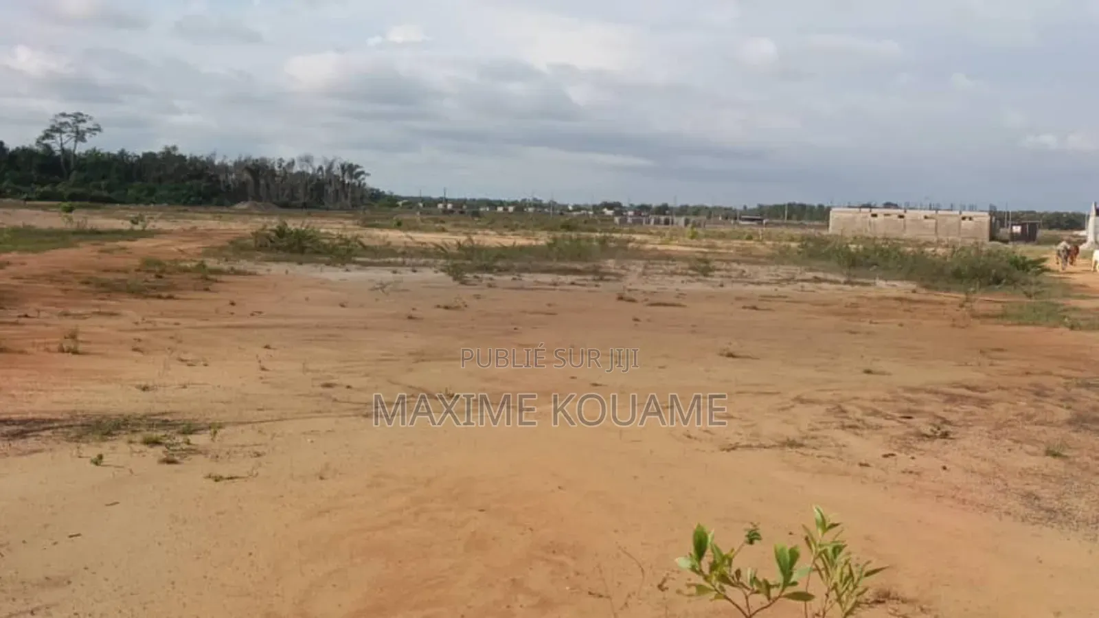 Terrain d'Une Superficie De 400 M2 en Vente À Bassam Mondoukou