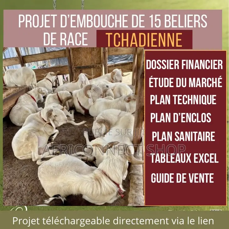 Projets D’Élevage