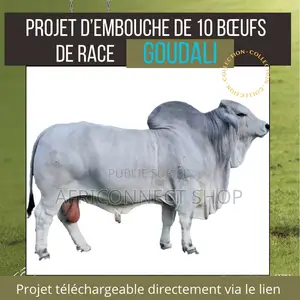 Projets D’Élevage