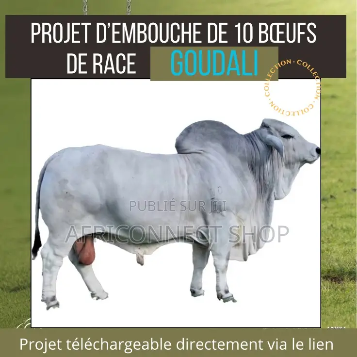 Projets D’Élevage