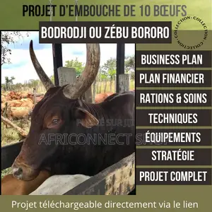 Photo - Projets D’Élevage