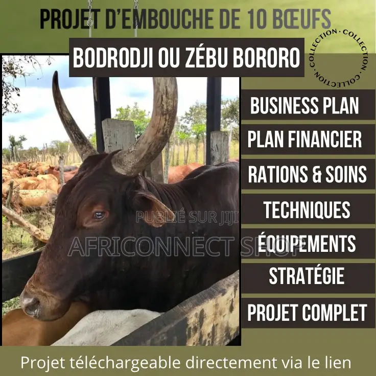 Projets D’Élevage