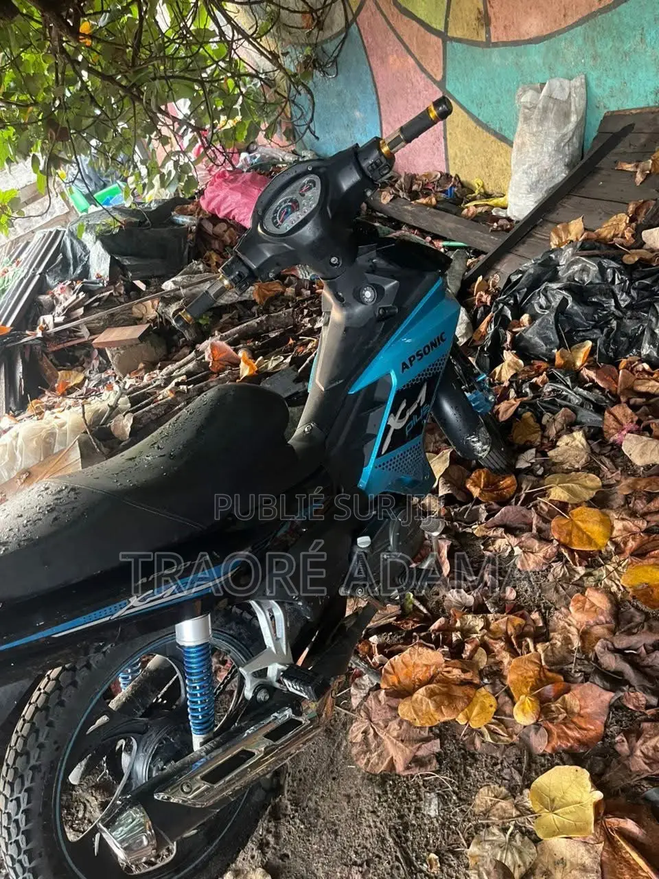 New Apsonic AP50A 2024 Blue