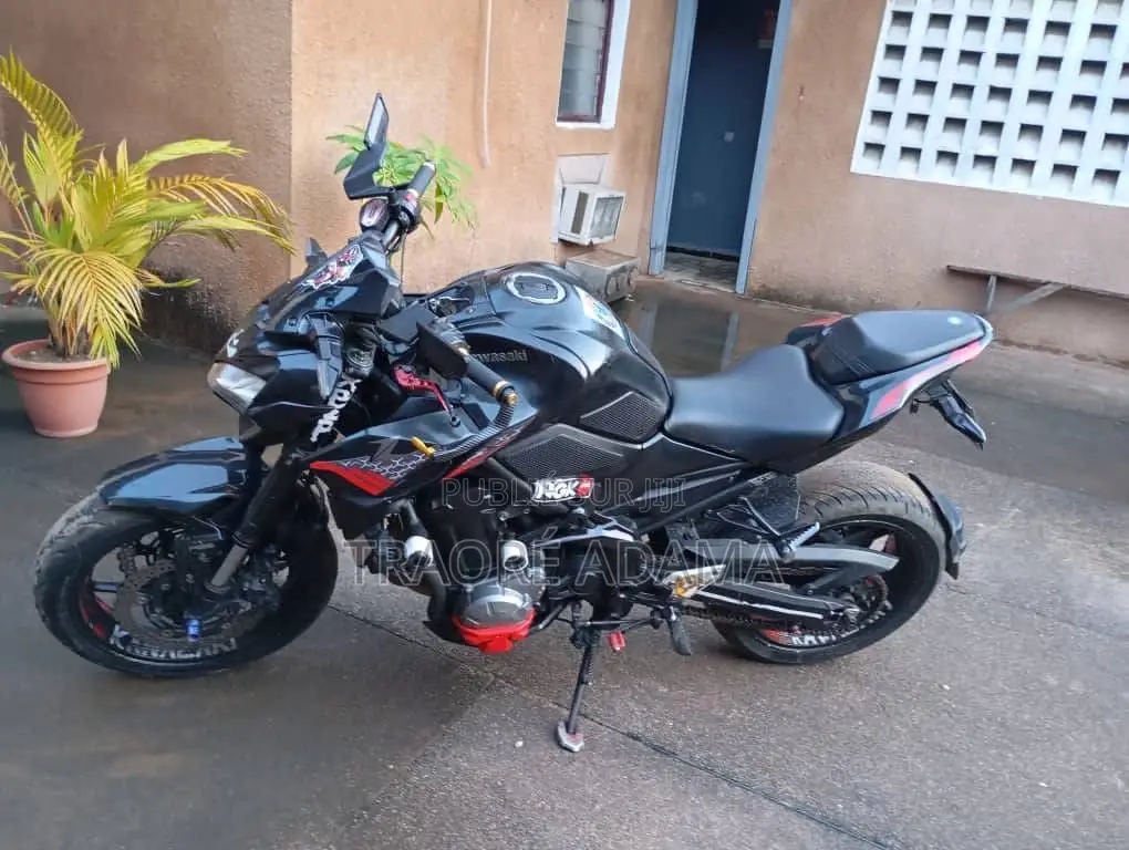 New Kawasaki Z900 2023