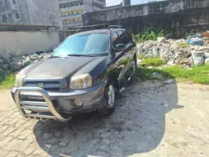 Photo - Hyundai Santa Fe 2006 Black