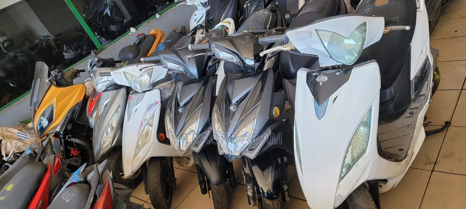 New Yamaha Crux 2024