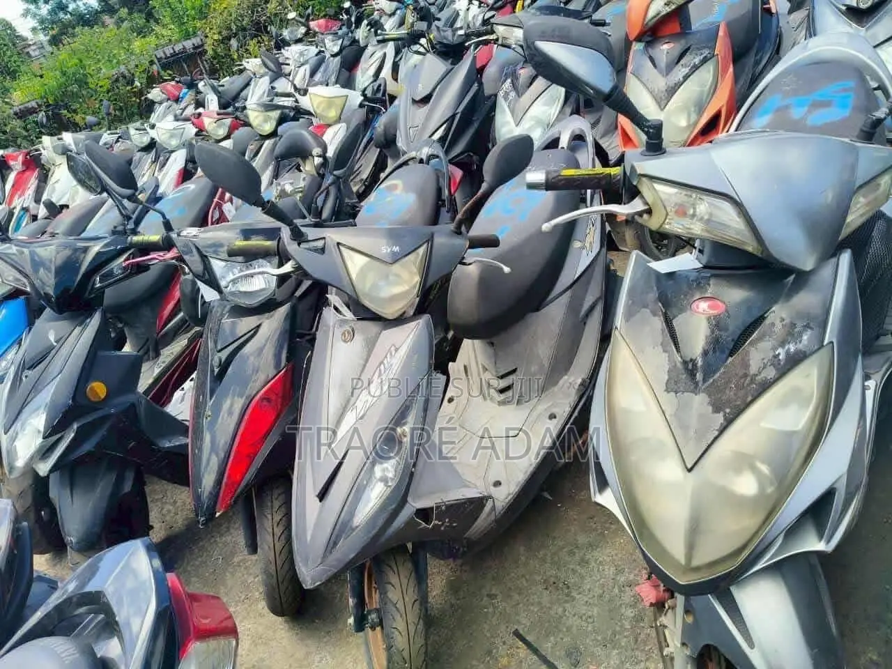 New Yamaha Crux 2024