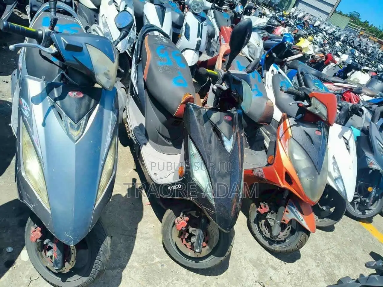 New Yamaha Crux 2024