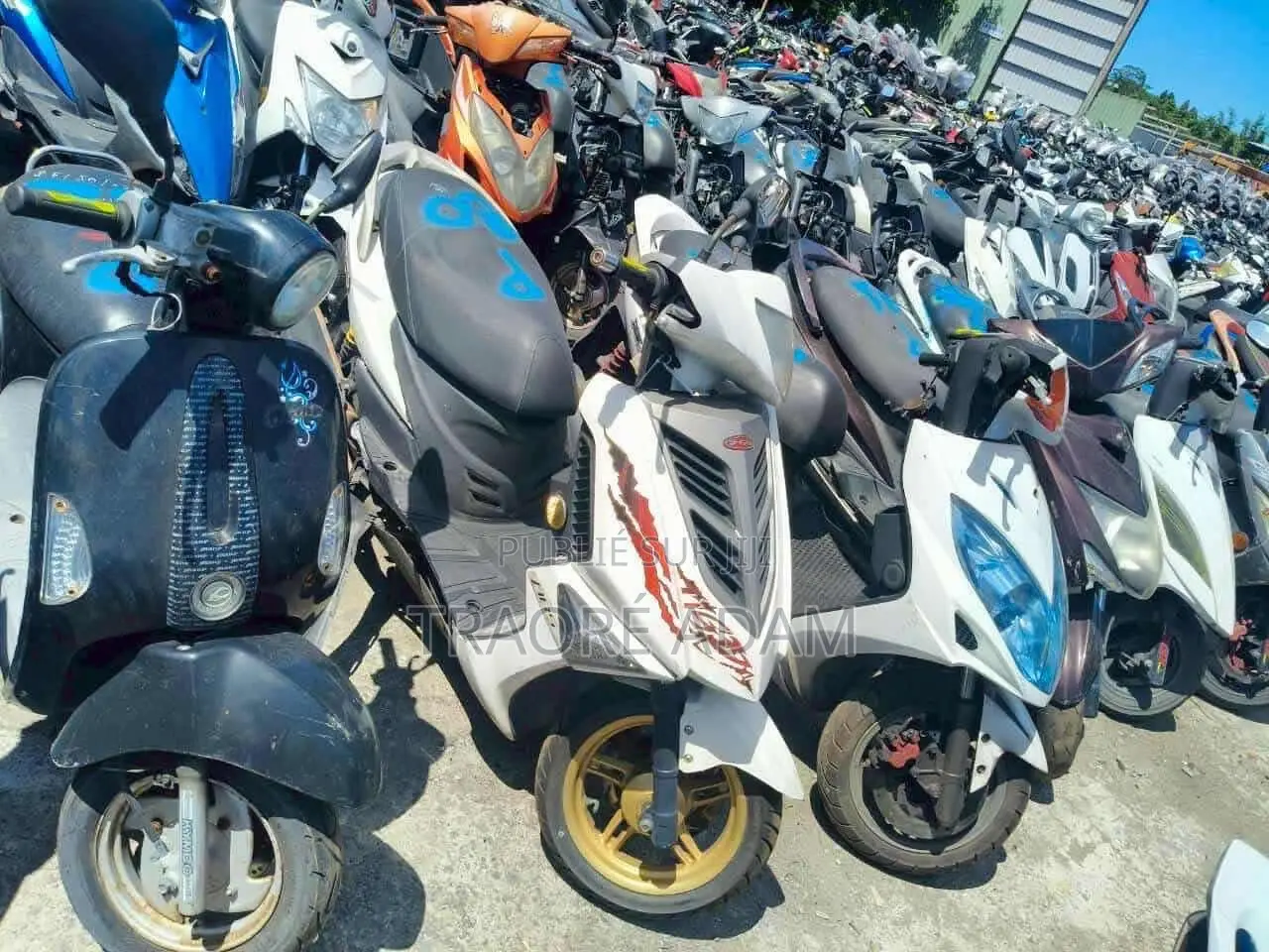 New Yamaha Crux 2024