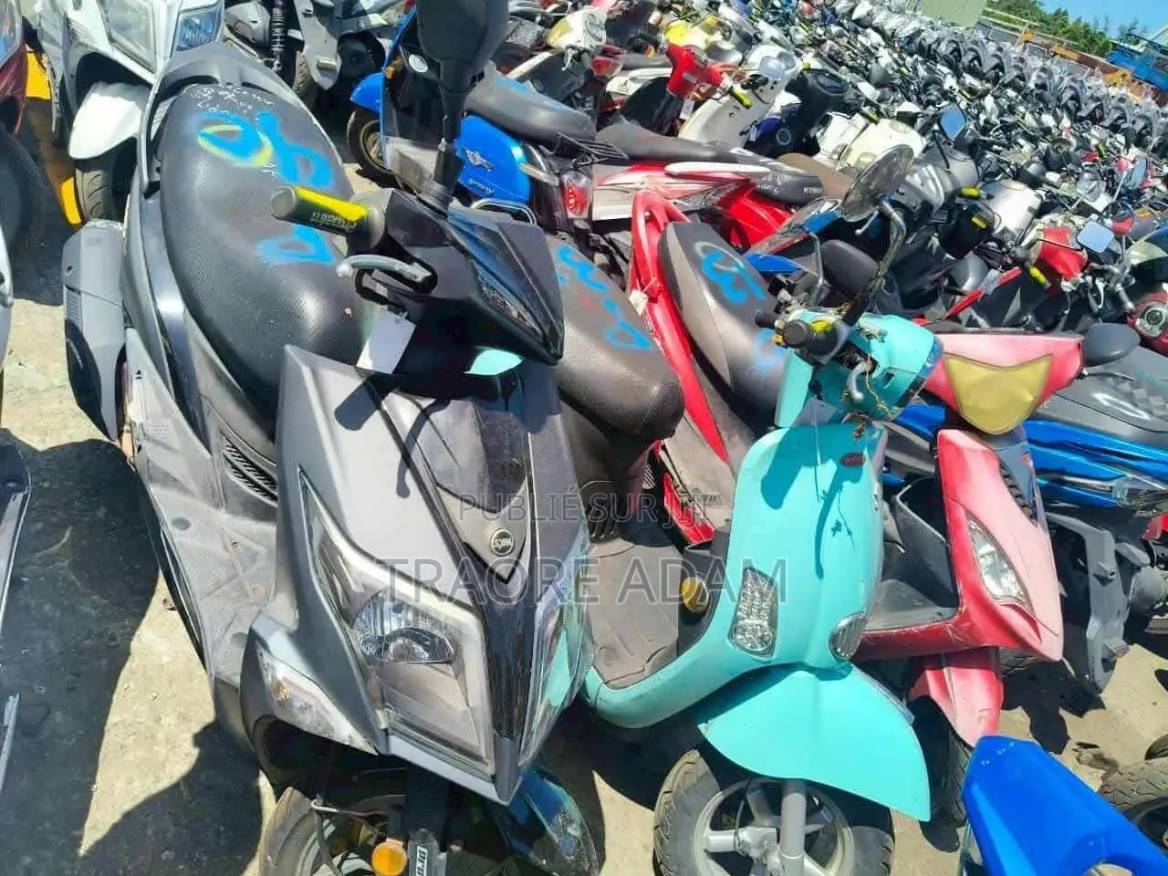 New Yamaha Crux 2024