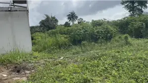 En Vente 1101m2 Pieds Dans Lagune À La Baie Des Milliardaires