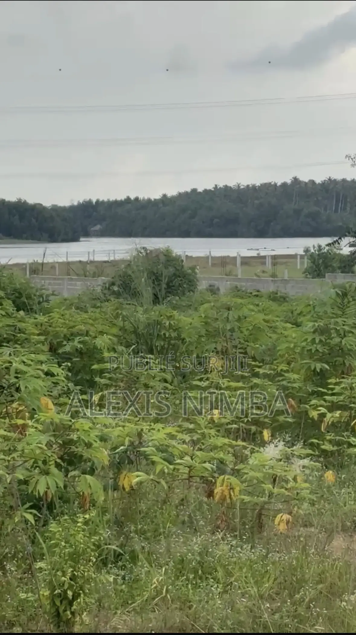 En Vente 1101m2 Pieds Dans Lagune À La Baie Des Milliardaires