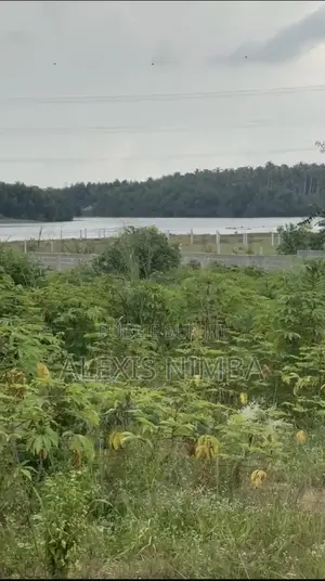 En Vente 1101m2 Pieds Dans Lagune À La Baie Des Milliardaires