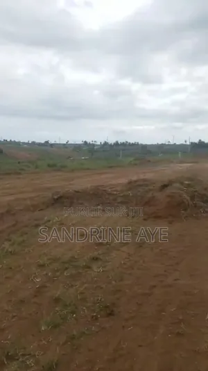 Photo - Vente De Terrains Situés À Songon Kassemble