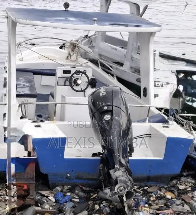 Bateau Plaisance Ou Transport Polyester Moteur 150cv Mercury